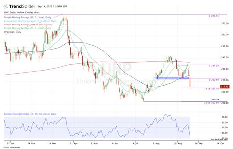 upn stock|union pacific railroad stock analysis.